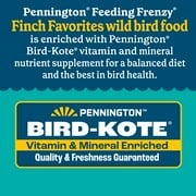 Pennington Feeding Frenzy Finch Favorite, Wild Bird Seed Mix, Bird Food, 10 lb