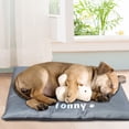 thumbnail image 6 of Didog Dog Bed Mat Waterproof Personalised Pet Cat Puppy Mattress Cushion Pad for Crate, 6 of 8