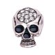 thumbnail image 1 of Sonducket Broches para mujer, oro, plata, Halloween, joyería moderna, patrón de esqueleto, chal de lujo, accesorios, ropa, plata antigua Type3 NO3, 1 of 6