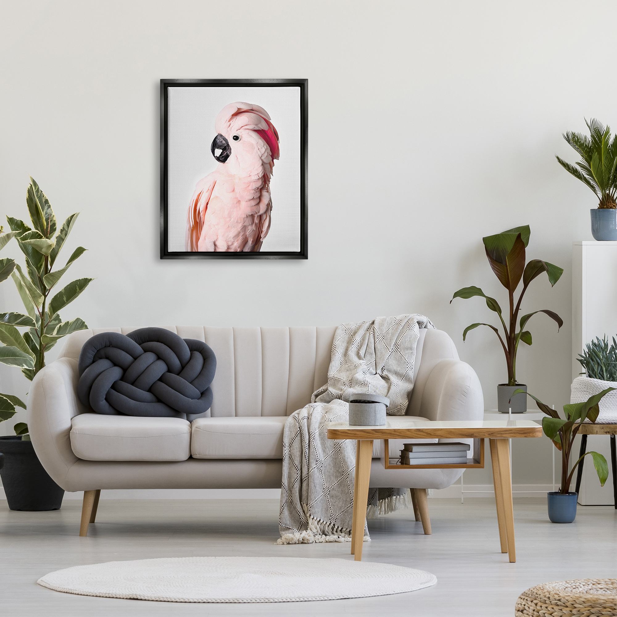 Stupell Industries Pink Cockatoo Photography Animals & Insects Photography Black Floater Framed Art Print Wall Art, 25 x 31