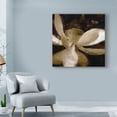 thumbnail image 3 of Trademark Fine Art 'Bronze Lily VI' Canvas Art by Noah Bay, 3 of 4