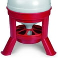 thumbnail image 3 of Little Giant 35 Pound Plastic Poultry Chicken Dome Feeder with Lid, Red, 3 of 4