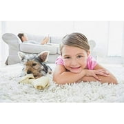 Capture Carpet & Rug Dry Cleaner with Brush 1 Lb