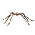 thumbnail image 1 of Visit the Sunlet Store Grands Faux Animaux d'Halloween Effrayants Décorations Intérieur Extérieur Multicolores, 1 of 7