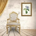 thumbnail image 3 of Paxton  11x14 Gold Ornate Wood Framed with Double Matting Museum Art Print Titled - Paxton Florals IV, 3 of 4