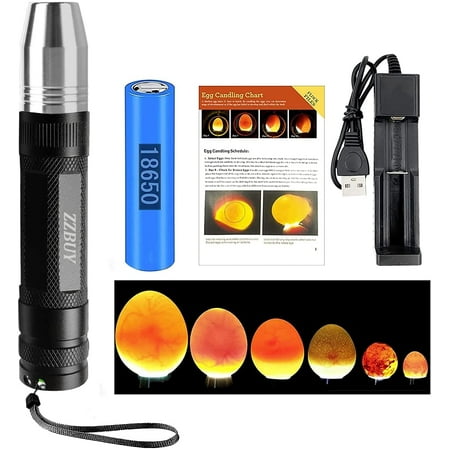 ZZBUY Egg Candler, Egg Incubator Light?2023 Upgraded Charger?, Egg Candler candling Checker Light for Chicken Quail Dark Canary Pigeon All Eggs Battery Powered
