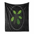 thumbnail image 1 of Avocado Soft Flannel Fleece Blanket, Alligator Pear Growing on Tree Branch Graphic with White Frame Background, Cozy Plush for Indoor and Outdoor Use, 50" x 60", Green Charcoal Grey, by Ambesonne, 1 of 6