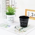 thumbnail image 2 of Petit Bac à Plantes Succulentes Sans Poignée en Fer Blanc Durable Micro Paysage de Bureau, 2 of 6