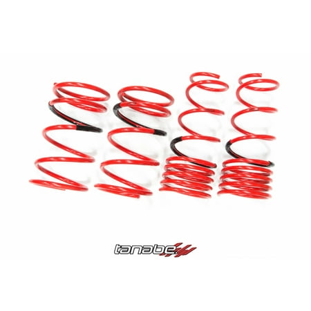 Tanabe Df210 Lowering Springs - Tanabe DF210 Lowering Springs for 01-05 Protege 5 - TDF051
