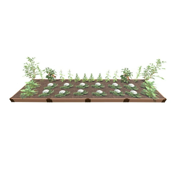 Frame It All Classic Sienna Raised Garden 4' X 16' X 5.5" - 1" Profile