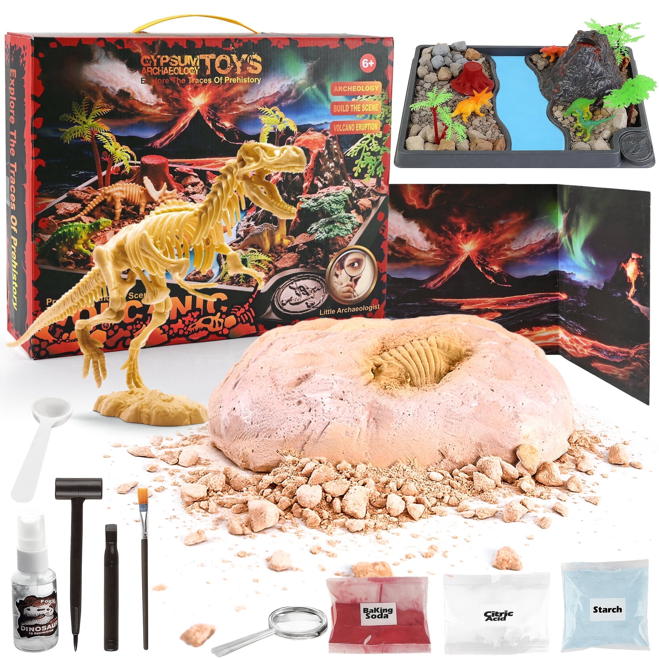 Abacus Brands Tyrannosaurus Rex Dino-Dig Science Kit for Kids