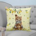 thumbnail image 4 of 20x20 Pillow Covers Set of 2, Lemons Cats Throw Pillow Covers Decorative Couch Cushion Case, Summer Rustic Botanical Fruits Yellow Microfiber Square Pillowcases for Bedroom Car Living Room, 4 of 7