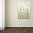 thumbnail image 3 of Trademark Fine Art "Spring Grasses I Crop" Canvas Art by Avery Tillmon, 3 of 3