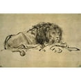 thumbnail image 3 of Van Rijn, Rembrandt 14x11 Black Modern Framed Museum Art Print Titled - Lion, 3 of 5