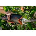 thumbnail image 2 of Cordless Pruner, 2 of 3