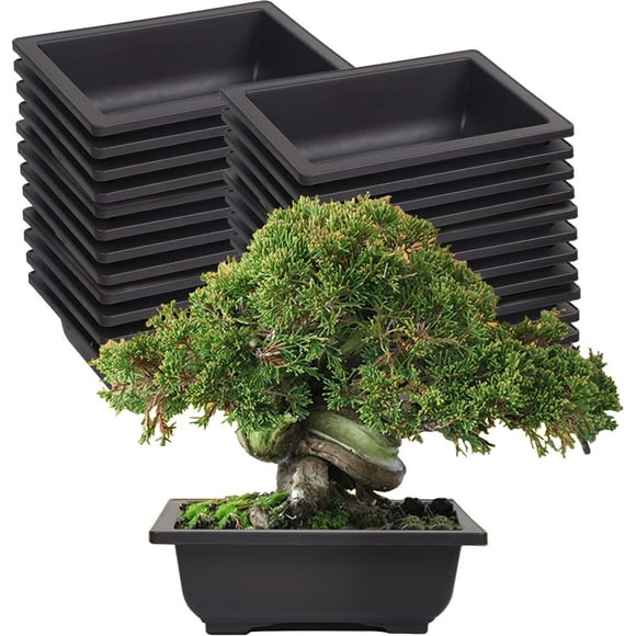 SHIQI-25 PCS 6.5 Inch Plastic Bonsai Training Pots, Rectangular Plant Bonsai Tree Pot, Starter Flower Succulent Growing Seedling Pot Container Planter for Garden Indoor Home Decorative