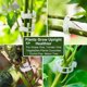 thumbnail image 3 of KAIYANG 100 piezas de clips para plantas de jardín, clips de soporte para plantas para fijar tomates, verduras y pepinos transparentes, 3 of 5