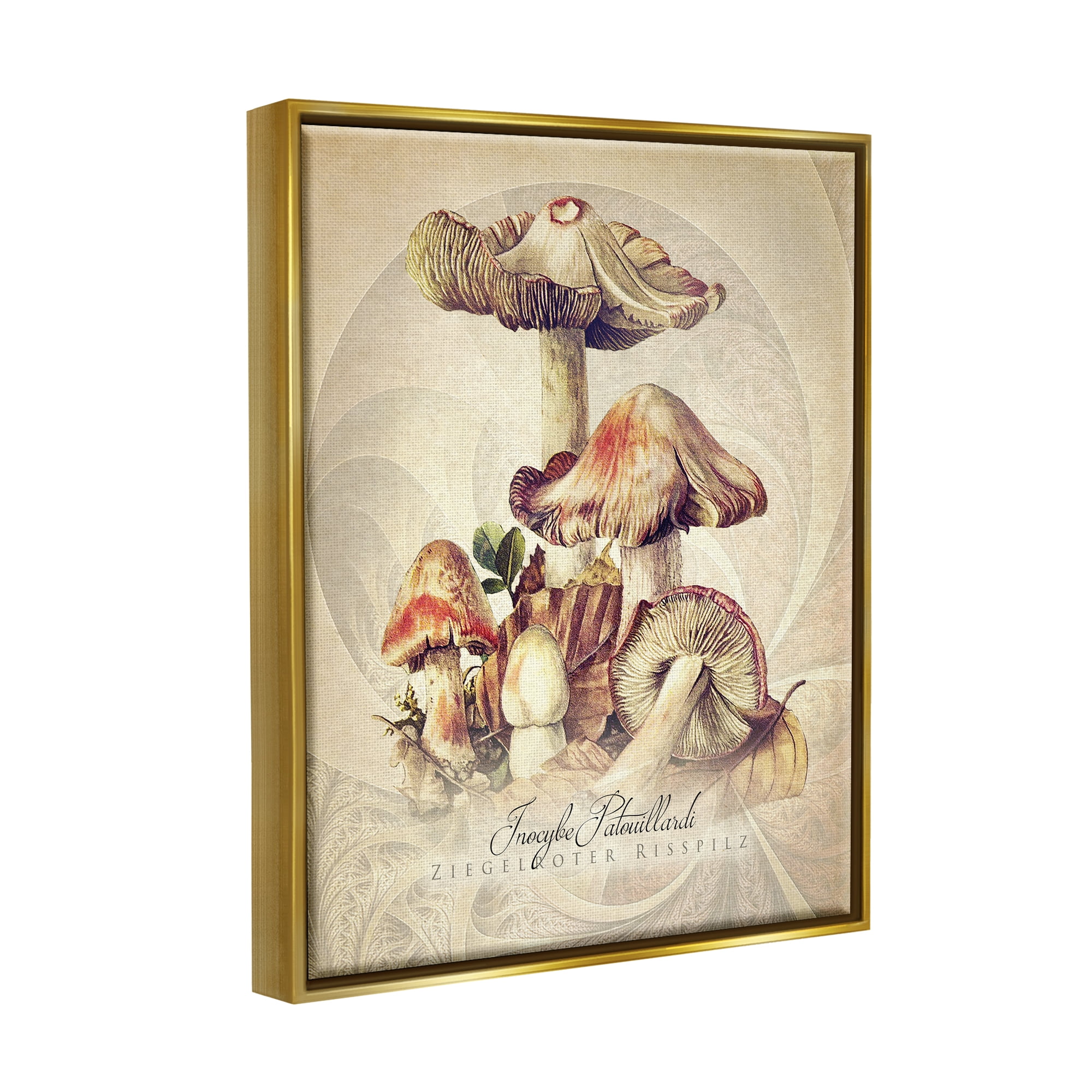 Stupell Industries Vintage Detailed Mushroom Nature Botanical & Floral Painting Gold Floater Framed Art Print Wall Art