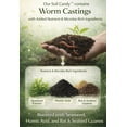thumbnail image 5 of Worm Tea Super Concentrate with Bat and Seabird Guanos. Soil Candy, Quart., 5 of 6