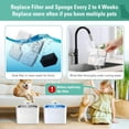 thumbnail image 6 of 8 Pack Replacement Filters & 8 Pack Pre-filter Sponges for 84oz/2.5L Automatic Pet Fountain, Kospetsin Cat Water Fountain Filter, Triple Filtration Pet Fountain Replacement Filters, 6 of 7