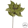 thumbnail image 3 of Vickerman 22" Lime Poinsettia Artificial Christmas Flower, 6 per Bag, 3 of 3
