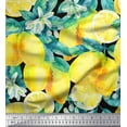 thumbnail image 1 of Soimoi Cotton Duck Fabric Leaves, & Lemon Vegetable Print Fabric by the Yard 42 Inch Wide, 1 of 1