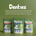 thumbnail image 2 of Denties Dental Chews for Dogs–Vet Recommended Dental Dog Treats for Regular/Medium Dogs(23 to 50 lbs),Cleans Teeth, Freshens Breath,Reduce Plaque,Mint Chicken & Beef Recipe,16 oz Pack,30 Count, 2 of 9
