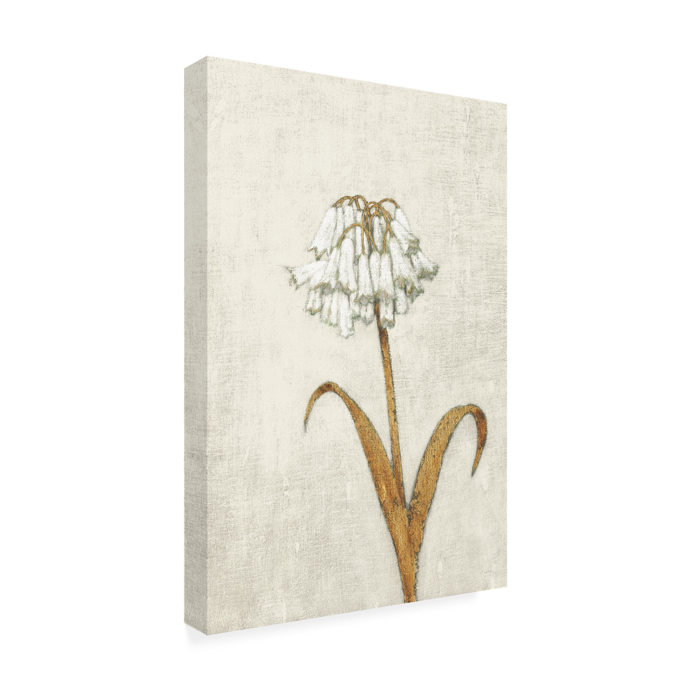 James Wiens 'Shimmering Summer II Ivory' Canvas Art