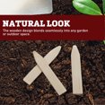 thumbnail image 3 of Harris Seeds Smooth Wooden Plant Labels 8 x 5/8 Inch, Untreated Garden Markers, 500 Count, 3 of 7