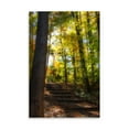 thumbnail image 2 of Gango Home Decor Autumn Light II by Alan Hausenflock (Printed on Paper); One 24x36in Fine Art Paper Giclee Print, 2 of 4