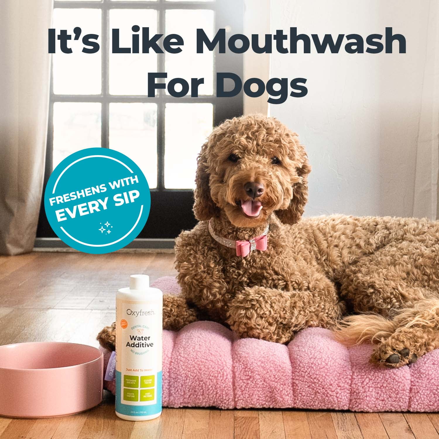 Oxyfresh Premium Dog Dental Water Additive, Best Way to Eliminate Bad Breath for Dogs, Teeth Cleaning Made Easy, 24 Ounce