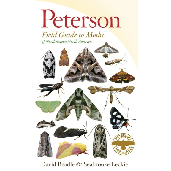 Peterson Field Guides Peterson Field Guide to Moths of Northeastern North America, (Paperback)