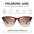 thumbnail image 2 of Gafas de sol Dollger polarizadas retro clásicas marrón para hombres y mujeres, 2 of 6