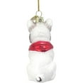 thumbnail image 4 of Kurt Adler Noble Gems French Bulldog Christmas Ornament – Dog Lover Holiday Décor, 4 of 5