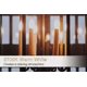 thumbnail image 5 of B15 Candle Bulb 2.5w, 10 Pack Sbc Dimmable Small Bayonet Light Bulbs Soft Warm White 2700k, 260 Lumens, 5 of 5