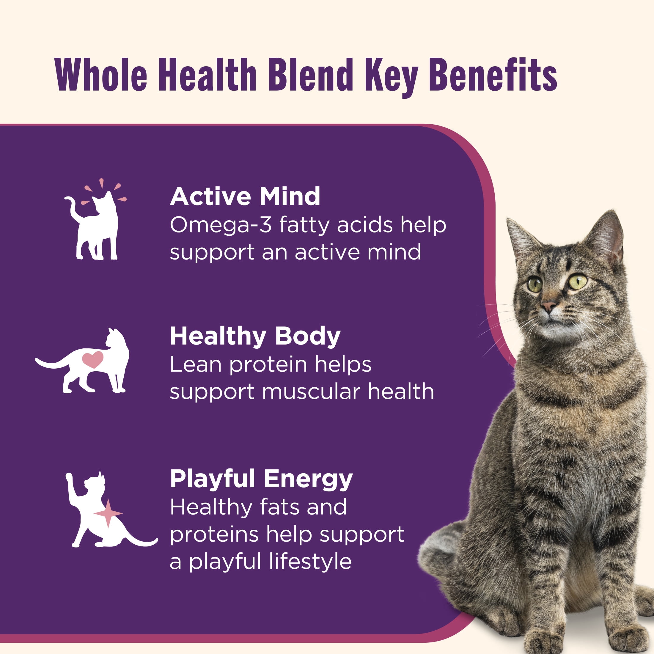 Nutrish Grain Free Ocean Lover's Whole Health Blend Variety Pack Wet Cat Food, 2.8 oz. Cup, 12 Count (Rachael Ray)