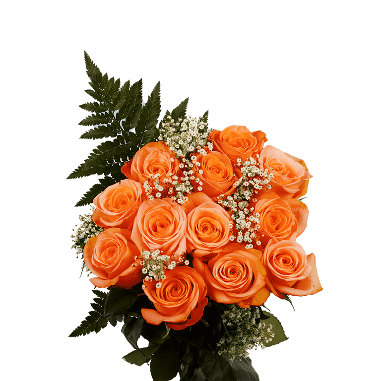 Orange Roses, Orange Rose Delivery