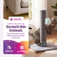 thumbnail image 2 of SmartyKat Playful Post Carpet Cat Scratching Post with Track Toy Base for Indoor Cats & Kittens, Features Integrated Hidden Ball Base for Stimulation, 2 of 7