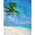 thumbnail image 2 of Roko, Ken 26x32 Black Ornate Wood Framed with Double Matting Museum Art Print Titled - Palm Beach and Starfish, 2 of 4