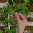 thumbnail image 1 of FOMIYES 200Ud Clips Reutilizables Para Fijar Enredaderas De Plantas Hechos En PVC Resistentes Y Ligeros, 1 of 6
