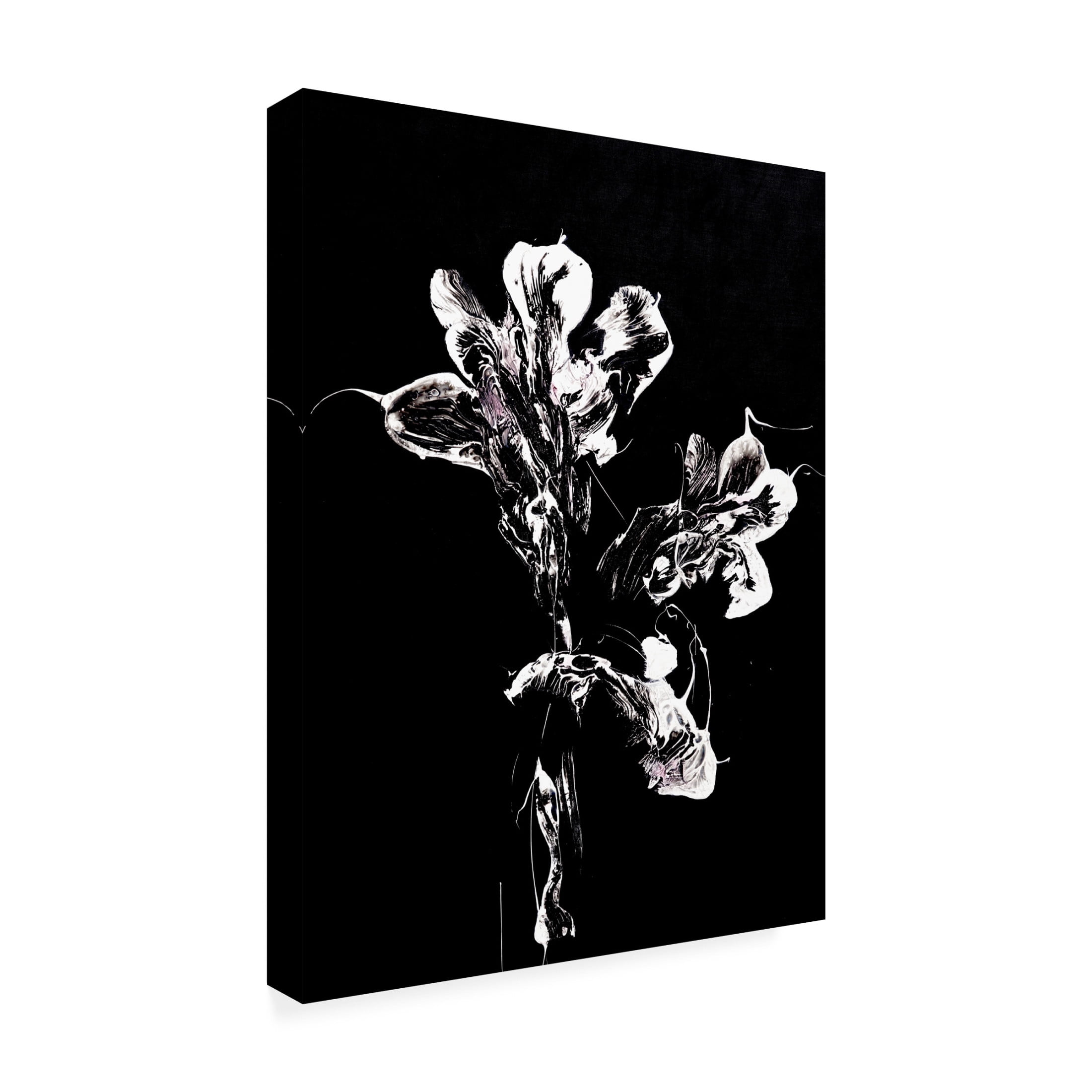 Trademark Fine Art Francoise Wattre Midnight Disguise Canvas Wall Art