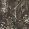 Realtree Men's Fitted Baselayer Thermal Underwear Bottom