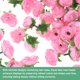 thumbnail image 2 of Uxcell 100 Paquete de Cabezas de Rosas Artificiales 1.2" Pequeña Cabeza de Rosa de Seda Falsa para Decoración Cabezas de Flores Falsas Rosa, 2 of 7