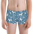 thumbnail image 5 of Yiaed Poodle Dog Print Boys' Boxer Briefs Cotton Casual Stretch Comfort Boys Boxers - Kids Boxer Briefs Underwear for Boys (6-18)-XX-Small, 5 of 5