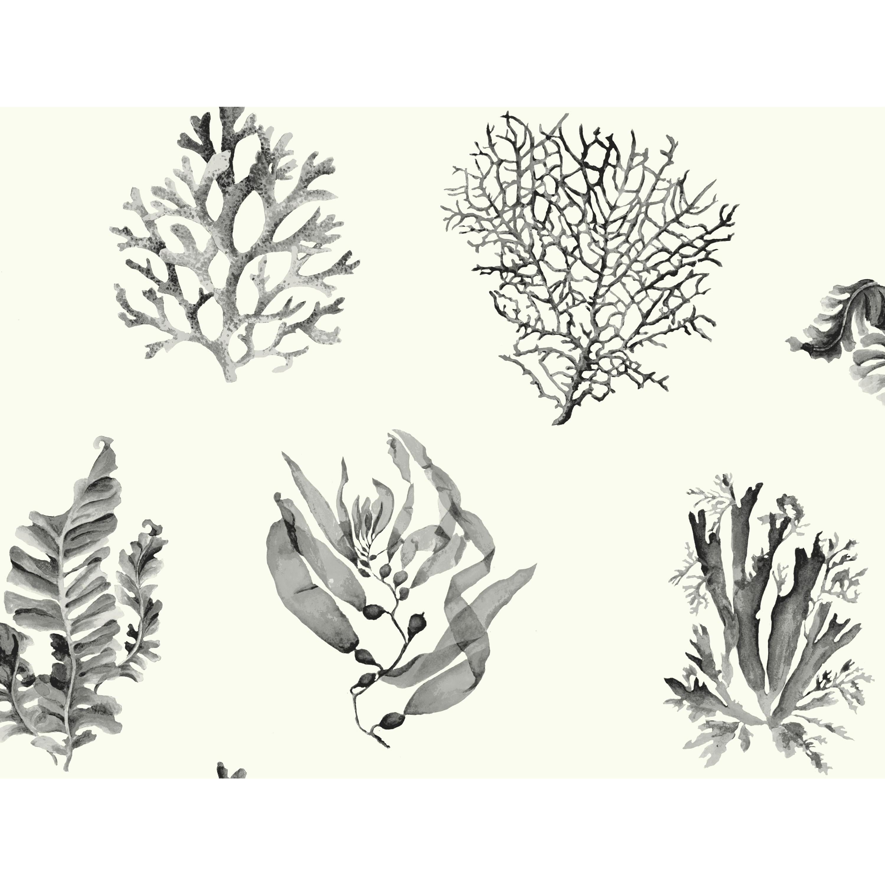 York Wallcoverings Seaweed White Removable Wallpaper - Walmart.com