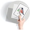 thumbnail image 5 of Paper - Assorted American Birds Greeting Cards - Stationery Cards with Envelopes - Thank You Card - Blank Note Cards - Greeting Cards for All Occasions - Made in USA (5.5 x 4.25, Set of 12), 5 of 9