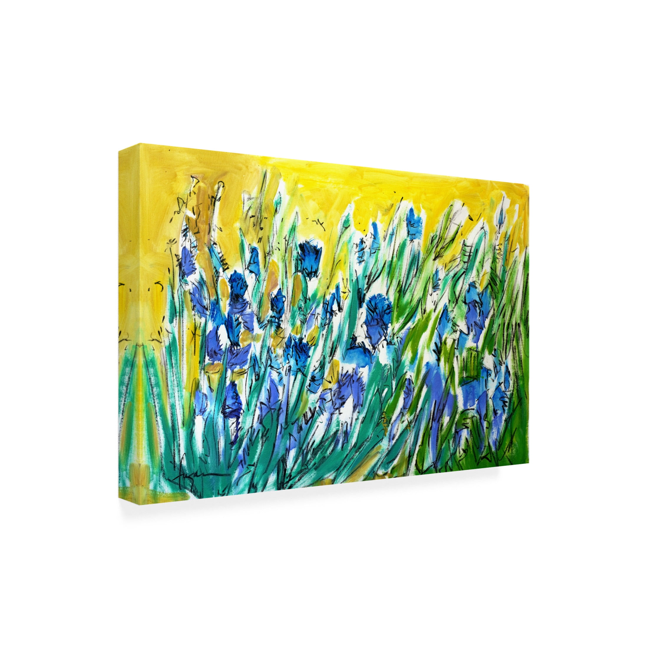 Canvas Wall Art - Dorothy Fagan ' Joinmeinthemeadow' Wall Art for Living Room, Bedroom, or Office Décor by Trademark Fine Art - 47 x 30 Inches