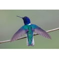thumbnail image 2 of Cooper, Ray 24x17 White Modern Wood Framed Museum Art Print Titled - Swing Wing, 2 of 4