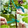 thumbnail image 3 of SUCCLACE 150ft 1/2" Plant Vinyl Garden Tie Adjustable Stake with Reusable Soft Material 2 Pack, 3 of 5
