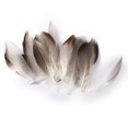 thumbnail image 1 of 50pcs Suave Artesanías Plumas de Avestruz para 2-7cm Artesanía Sombrero, 1 of 9